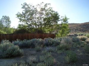 l43fac244-m1xd-w640_h480_q80