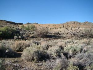 l43fac244-m2xd-w640_h480_q80