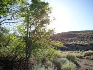 l43fac244-m3xd-w640_h480_q80