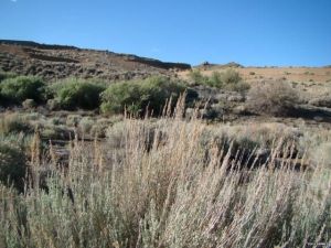 l43fac244-m6xd-w640_h480_q80