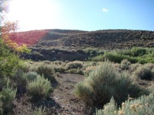 l43fac244-m7xd-w640_h480_q80