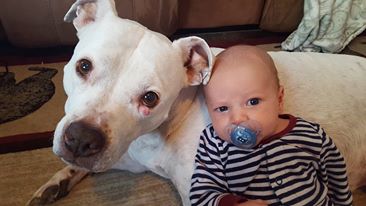 12647138_10208450242712139_5791359003751690958_n