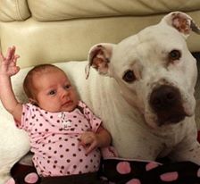 33483_1672825579019_5161177_n