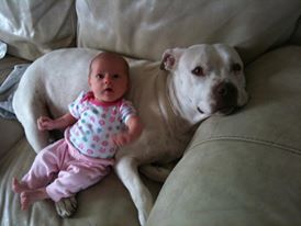 547244_3960437287882_1237907148_n